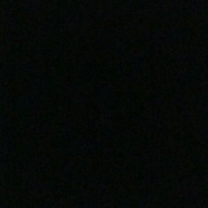 Meet your Posher, Somin